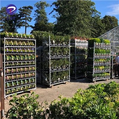 Danimarka Çiçek Taşıma Konteynerleri