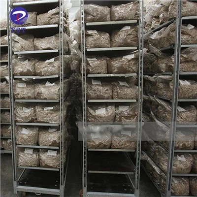 Sera Bahçesi Arabası