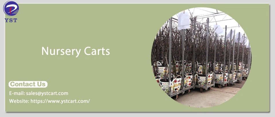 Nursery Carts-4 Nursery Carts-4